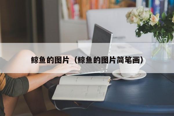 鲸鱼的图片(鲸鱼的图片简笔画)