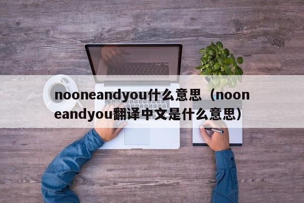 nooneandyou什么意思(nooneandyou翻译中文是什么意思)