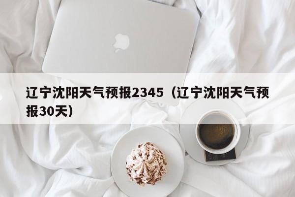 辽宁沈阳天气预报2345(辽宁沈阳天气预报30天)