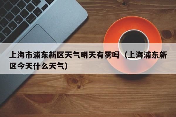 上海市浦东新区天气明天有雾吗(上海浦东新区今天什么天气)