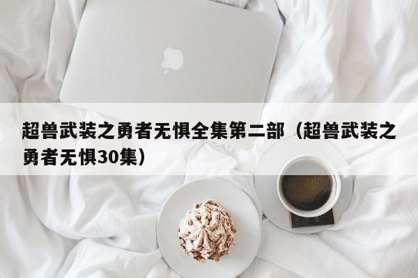 超兽武装之勇者无惧全集第二部(超兽武装之勇者无惧30集)
