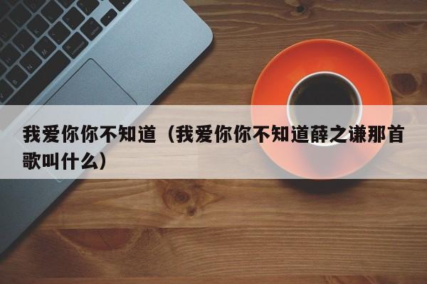 我爱你你不知道(我爱你你不知道薛之谦那首歌叫什么)