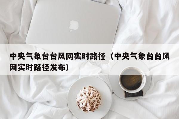 中央气象台台风网实时路径(中央气象台台风网实时路径发布)