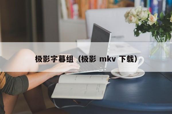 极影字幕组(极影 mkv 下载)