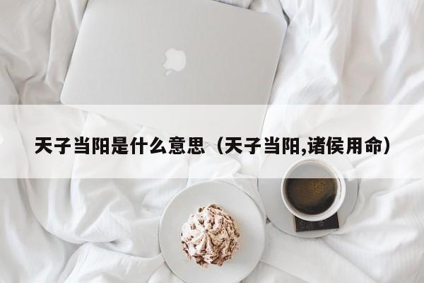 天子当阳是什么意思(天子当阳,诸侯用命)