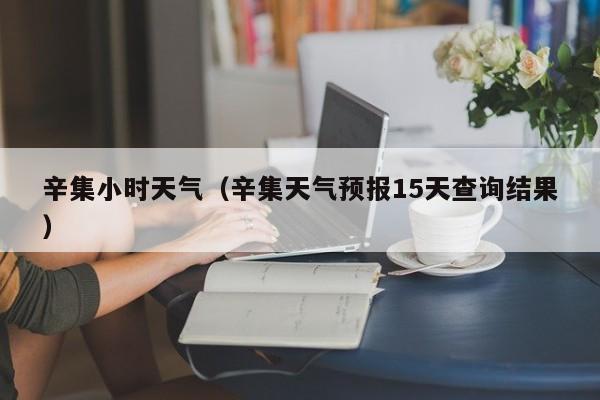 辛集小时天气(辛集天气预报15天查询结果)