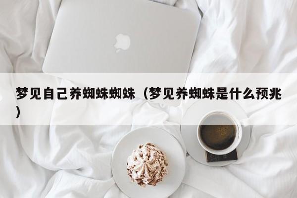 梦见自己养蜘蛛蜘蛛(梦见养蜘蛛是什么预兆)
