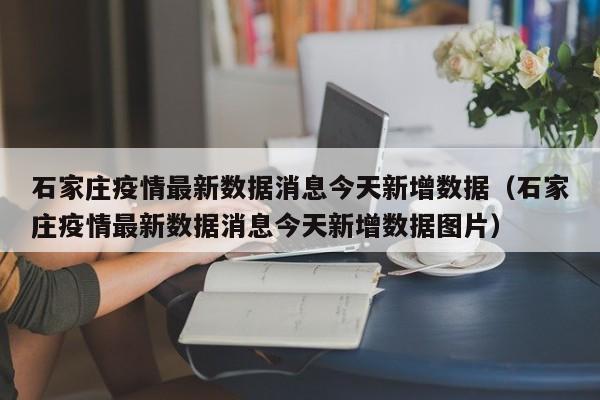 石家庄疫情最新数据消息今天新增数据(石家庄疫情最新数据消息今天新增数据图片)