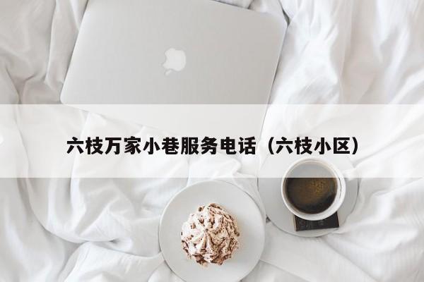 六枝万家小巷服务电话(六枝小区)