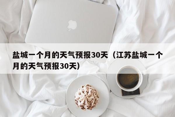 盐城一个月的天气预报30天(江苏盐城一个月的天气预报30天)
