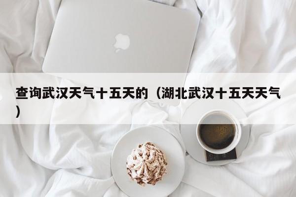 查询武汉天气十五天的(湖北武汉十五天天气)