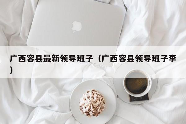 广西容县最新领导班子(广西容县领导班子李)