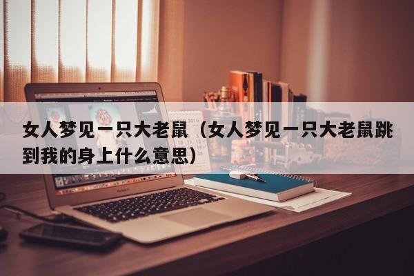女人梦见一只大老鼠(女人梦见一只大老鼠跳到我的身上什么意思)