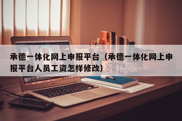 承德一体化网上申报平台(承德一体化网上申报平台人员工资怎样修改)