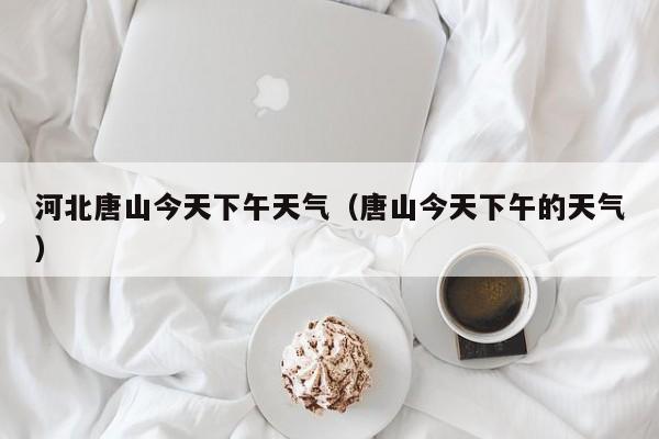 河北唐山今天下午天气(唐山今天下午的天气)