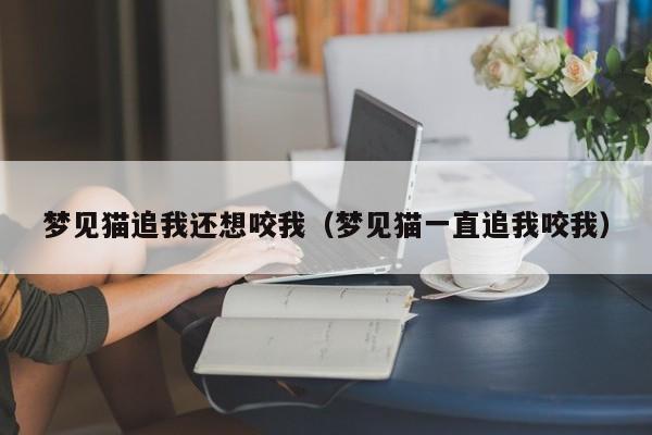 梦见猫追我还想咬我(梦见猫一直追我咬我)