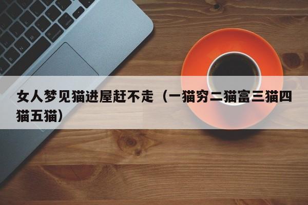 女人梦见猫进屋赶不走(一猫穷二猫富三猫四猫五猫)