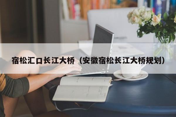 宿松汇口长江大桥(安徽宿松长江大桥规划)