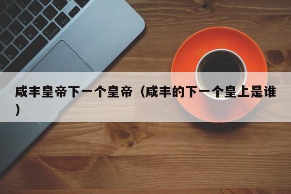咸丰皇帝下一个皇帝(咸丰的下一个皇上是谁)