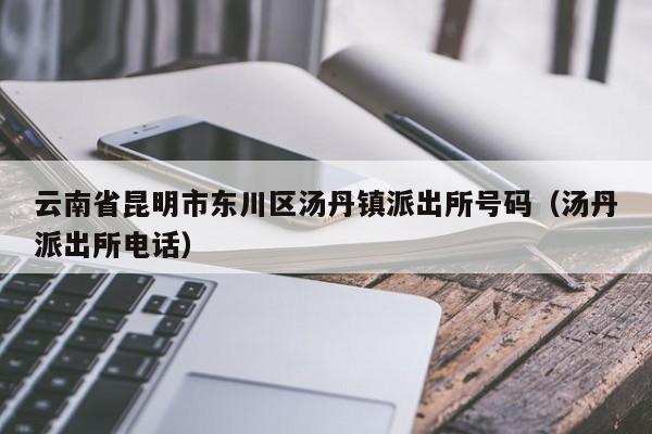 云南省昆明市东川区汤丹镇派出所号码(汤丹派出所电话)