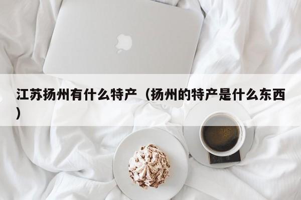 江苏扬州有什么特产(扬州的特产是什么东西)