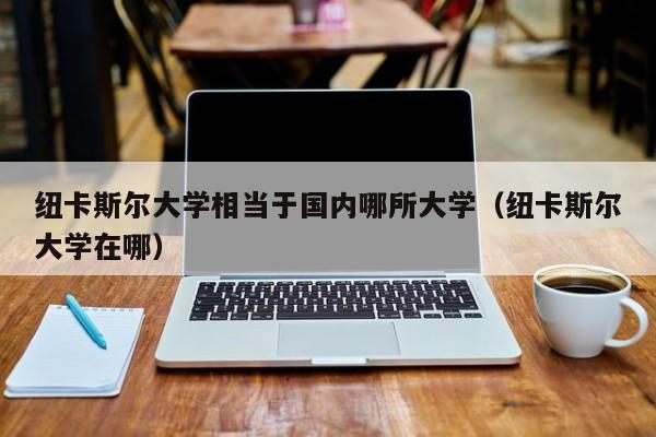纽卡斯尔大学相当于国内哪所大学(纽卡斯尔大学在哪)