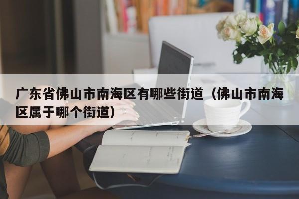 广东省佛山市南海区有哪些街道(佛山市南海区属于哪个街道)