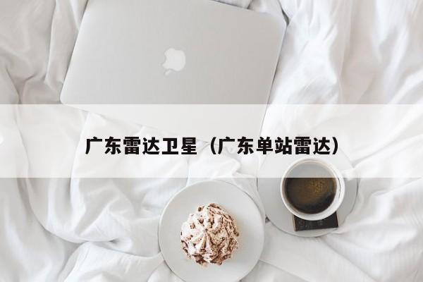 广东雷达卫星(广东单站雷达)