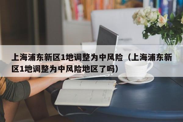 上海浦东新区1地调整为中风险(上海浦东新区1地调整为中风险地区了吗)