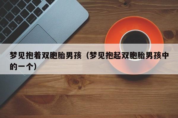梦见抱着双胞胎男孩(梦见抱起双胞胎男孩中的一个)