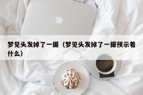 梦见头发掉了一撮(梦见头发掉了一撮预示着什么)