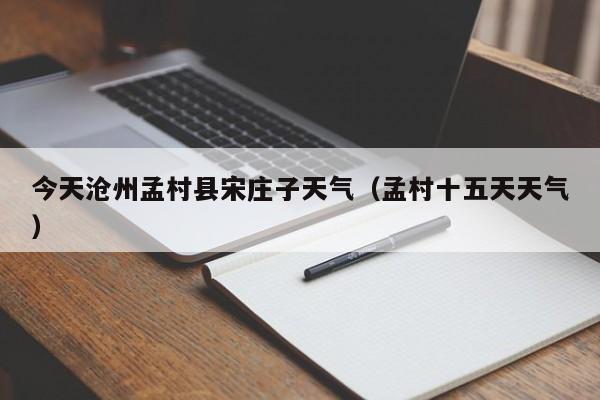 今天沧州孟村县宋庄子天气(孟村十五天天气)