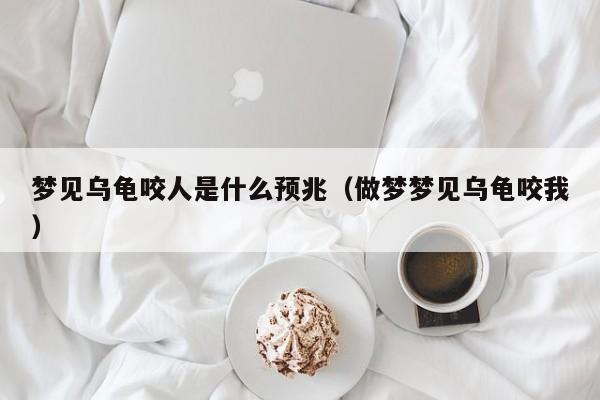 梦见乌龟咬人是什么预兆(做梦梦见乌龟咬我)