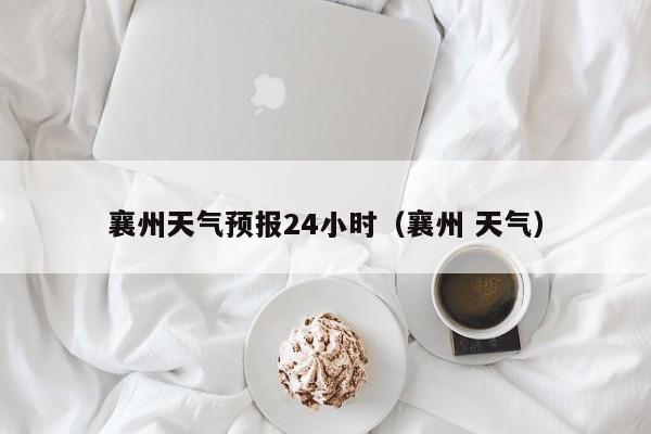 襄州天气预报24小时(襄州 天气)
