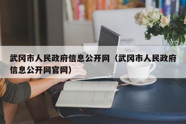 武冈市人民政府信息公开网(武冈市人民政府信息公开网官网)
