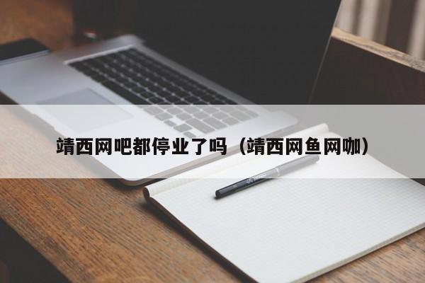 靖西网吧都停业了吗(靖西网鱼网咖)