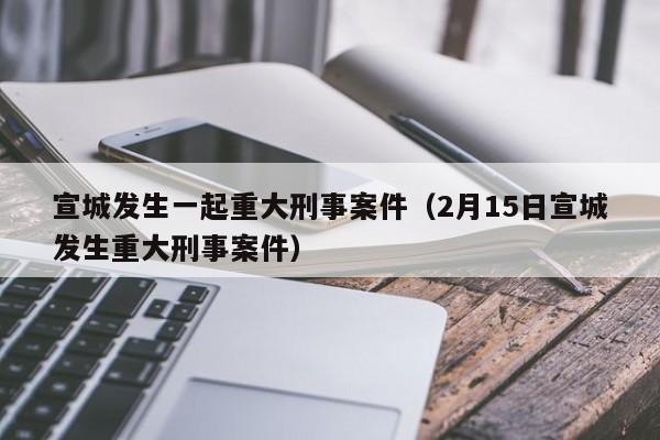 宣城发生一起重大刑事案件(2月15日宣城发生重大刑事案件)