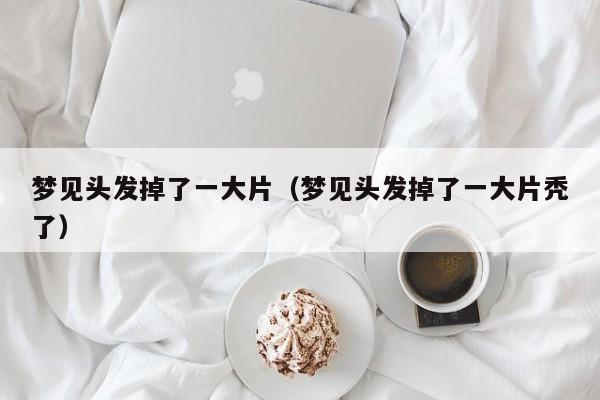 梦见头发掉了一大片(梦见头发掉了一大片秃了)