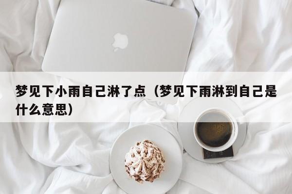 梦见下小雨自己淋了点(梦见下雨淋到自己是什么意思)