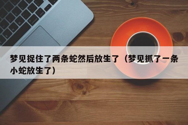 梦见捉住了两条蛇然后放生了(梦见抓了一条小蛇放生了)