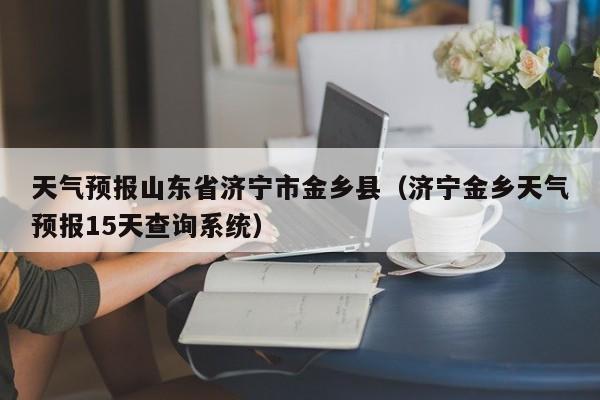 天气预报山东省济宁市金乡县(济宁金乡天气预报15天查询系统)