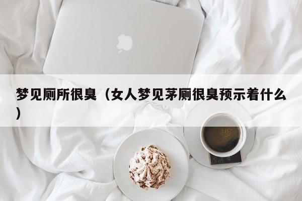 梦见厕所很臭(女人梦见茅厕很臭预示着什么)