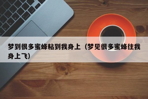 梦到很多蜜蜂粘到我身上(梦见很多蜜蜂往我身上飞)