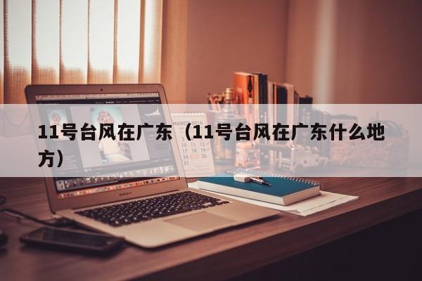 11号台风在广东(11号台风在广东什么地方)