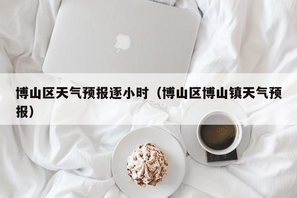 博山区天气预报逐小时(博山区博山镇天气预报)