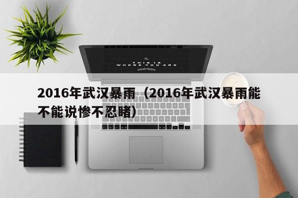 2016年武汉暴雨(2016年武汉暴雨能不能说惨不忍睹)