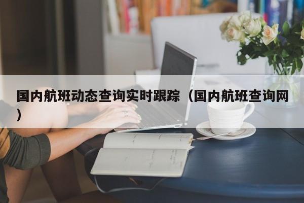 国内航班动态查询实时跟踪(国内航班查询网)