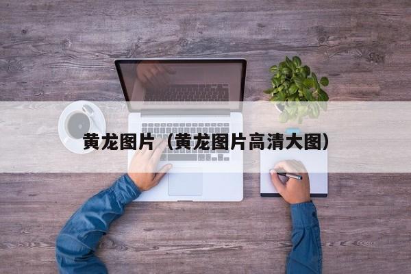 黄龙图片(黄龙图片高清大图)
