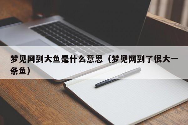 梦见网到大鱼是什么意思(梦见网到了很大一条鱼)