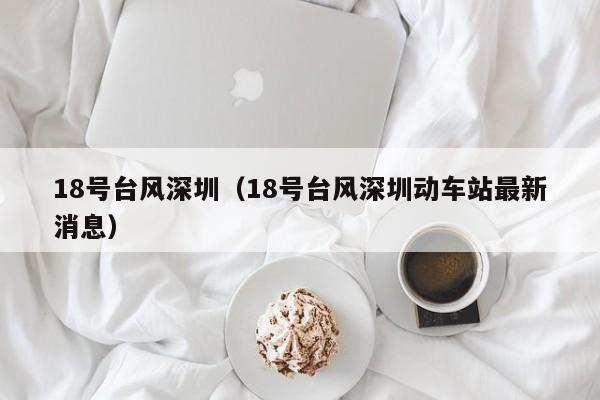 18号台风深圳(18号台风深圳动车站最新消息)